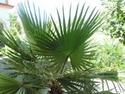 Appartement 5, Bild 24